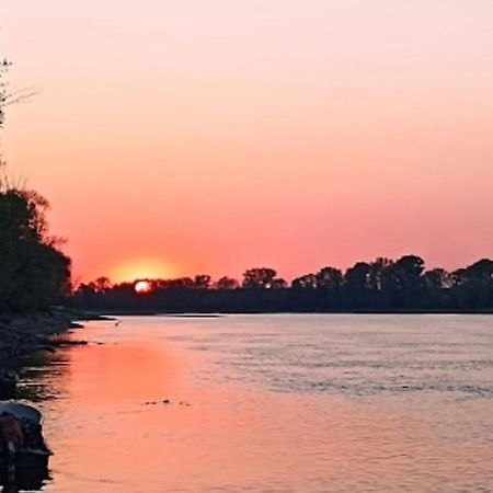 Residenza Il Capitano Bed & Breakfast San Benedetto Po Dış mekan fotoğraf